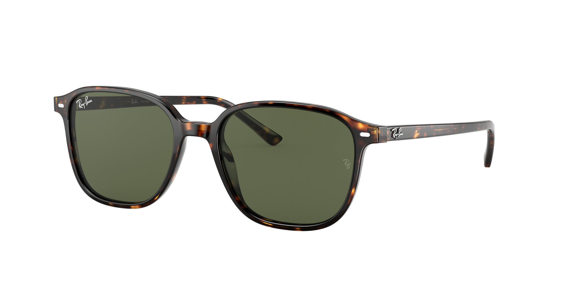 Ray-Ban RB2193 LEONARD 902/31