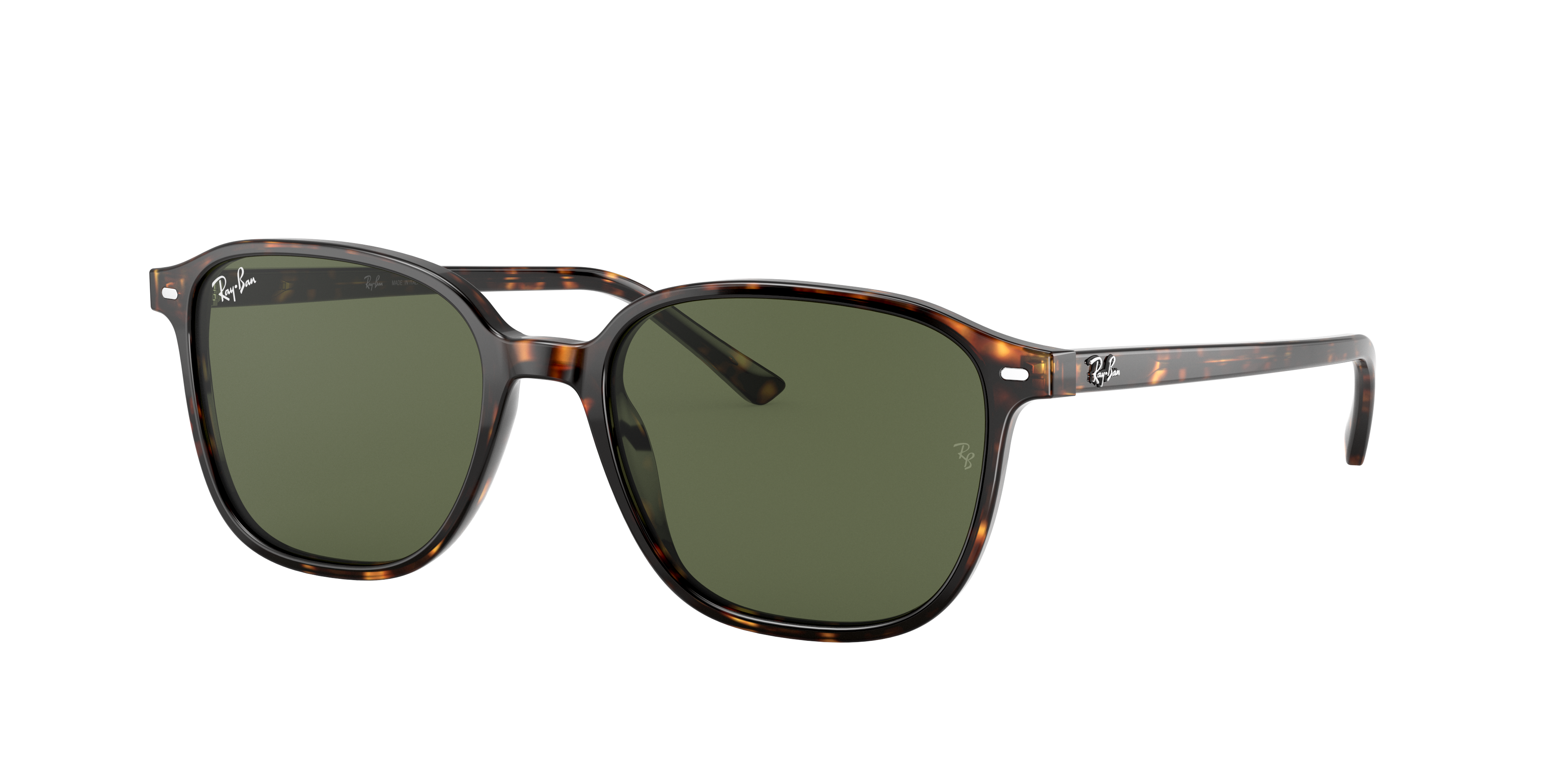 Ray-Ban RB2193 LEONARD 902/31