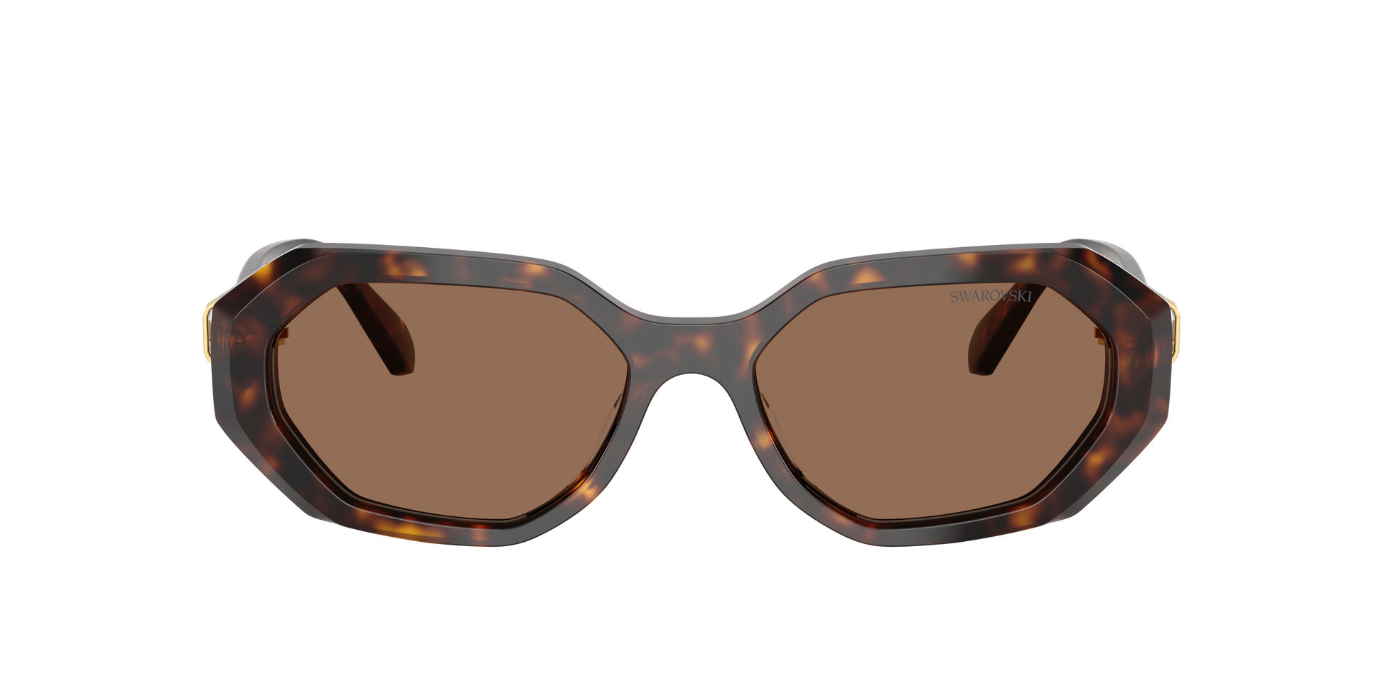 Swarovski SK6028 100273