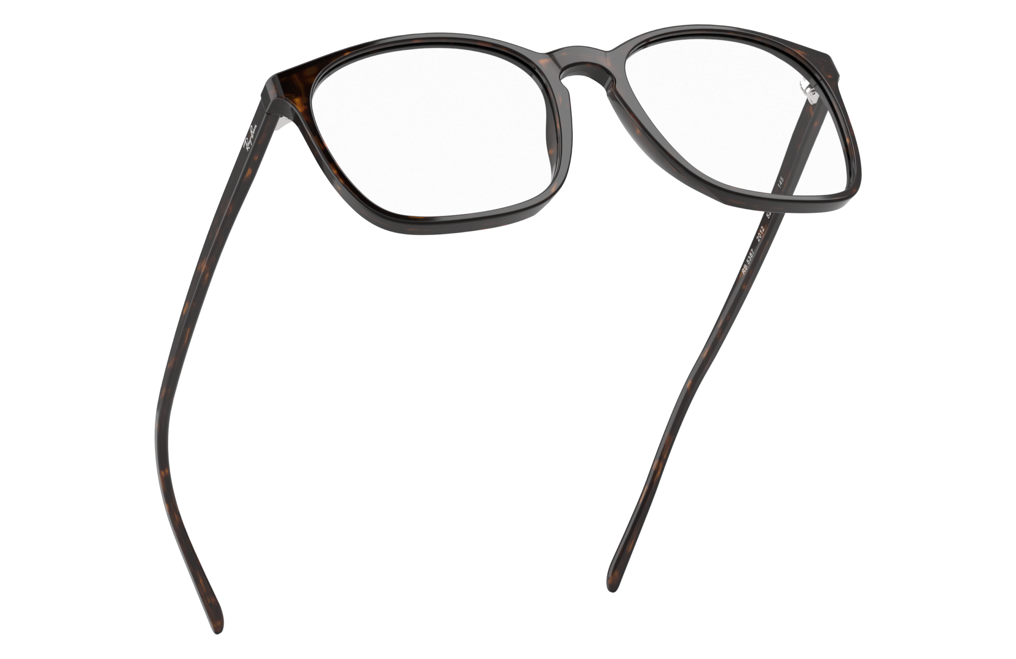 Ray-Ban RX5387 2012