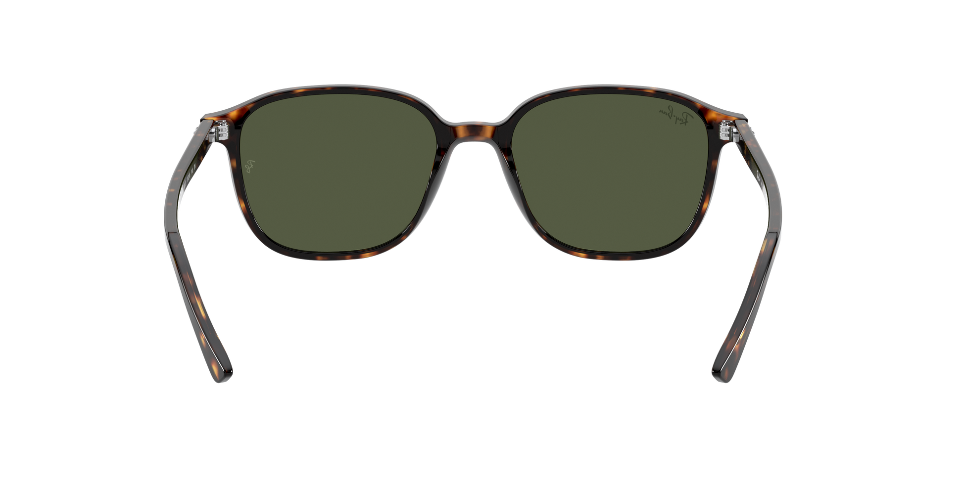Ray-Ban RB2193 LEONARD 902/31