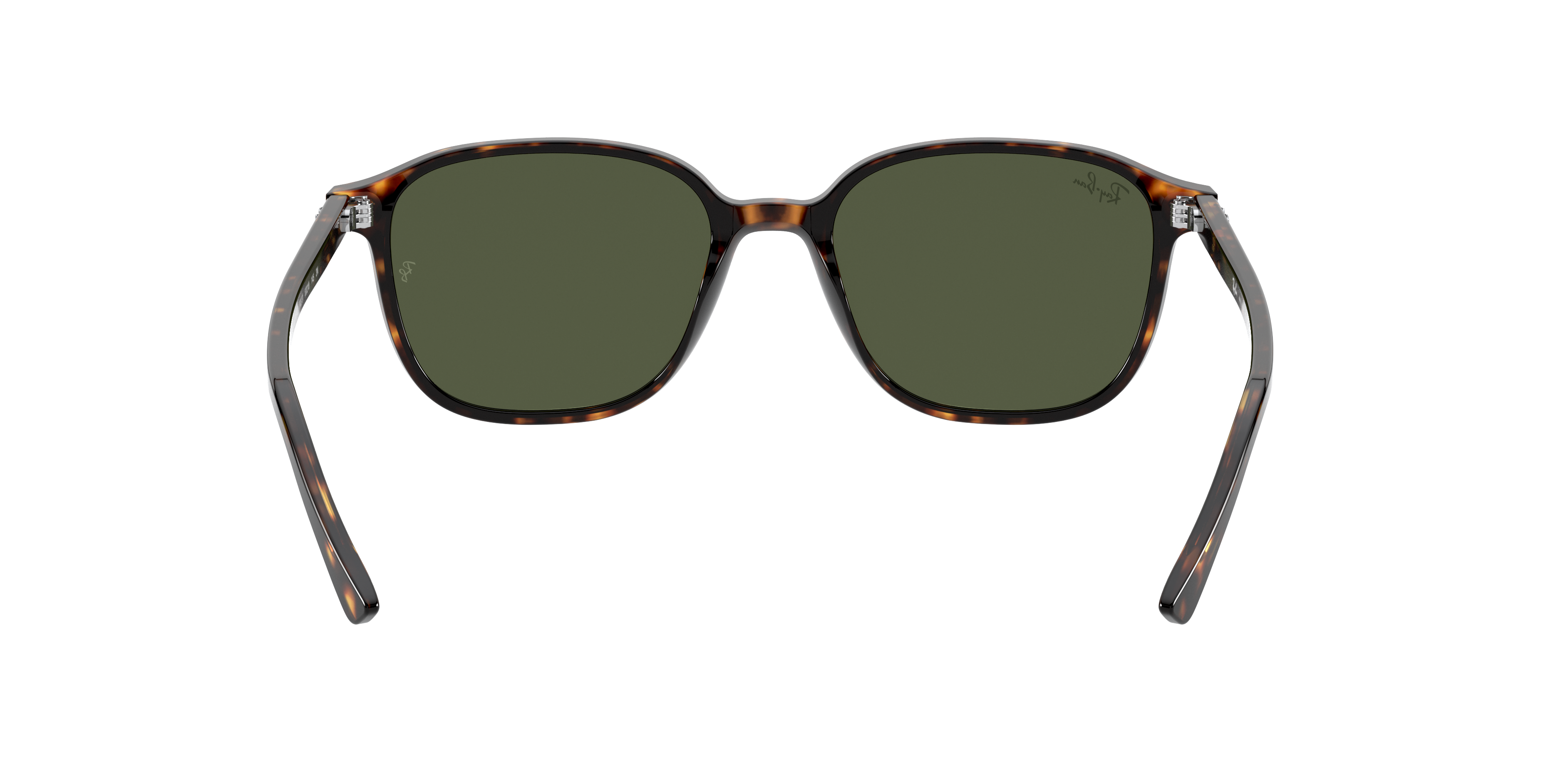 Ray-Ban RB2193 LEONARD 902/31