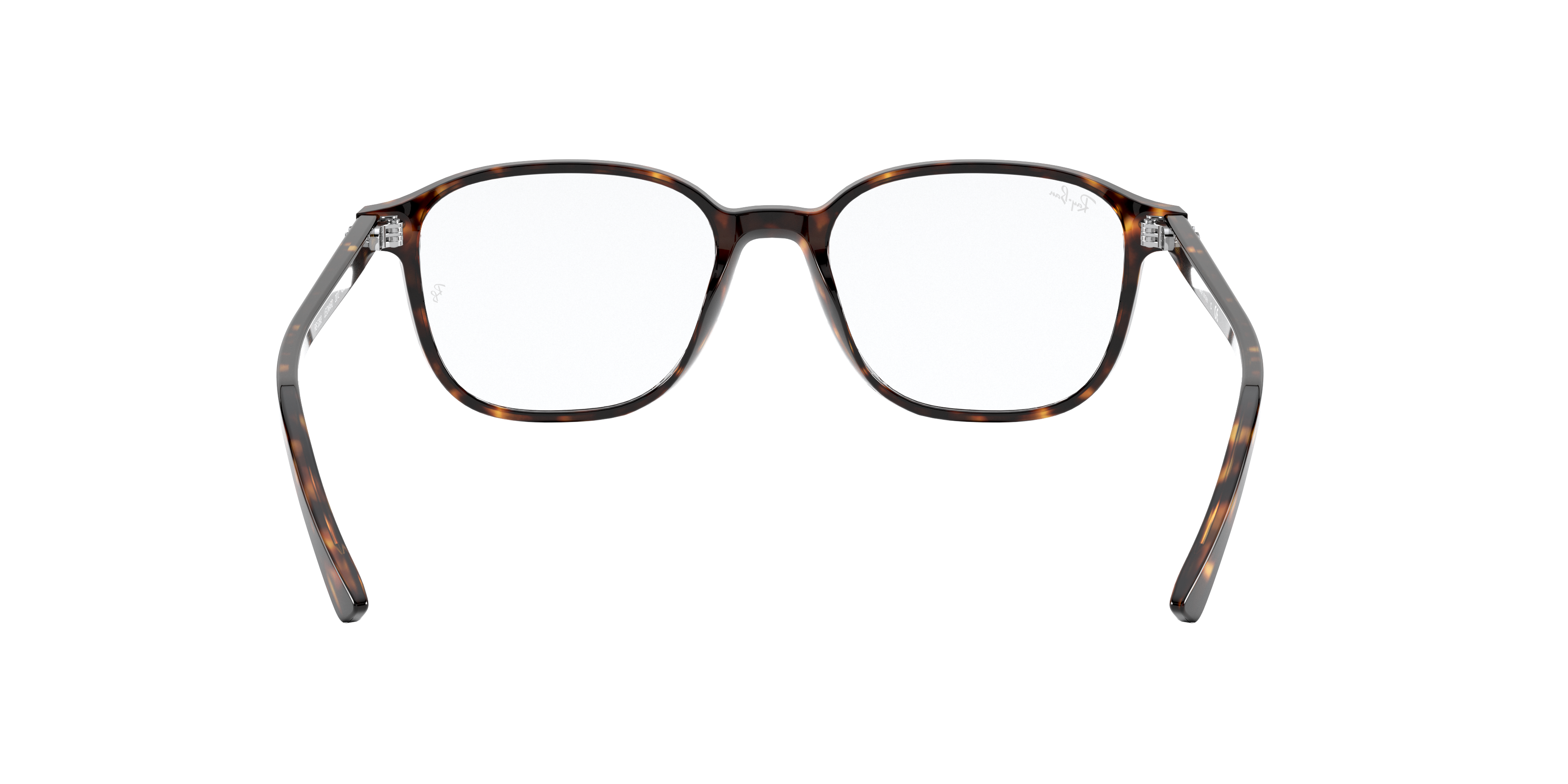 Ray-Ban RX5393 LEONARD 2012