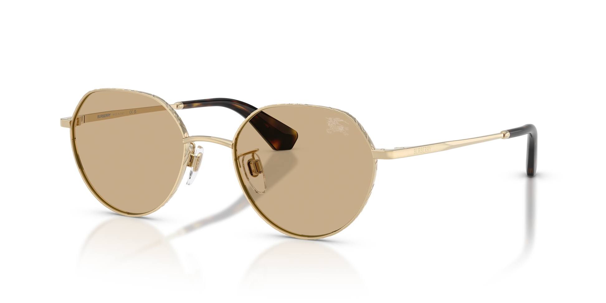 Burberry BE3173D 110973