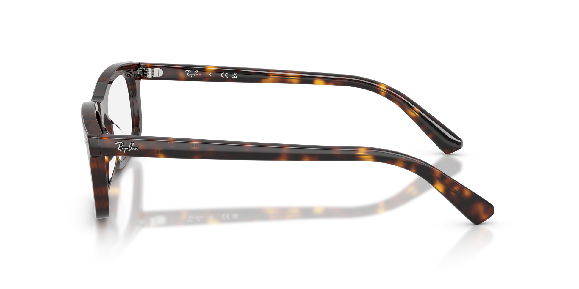 Ray-Ban RX5450 2012