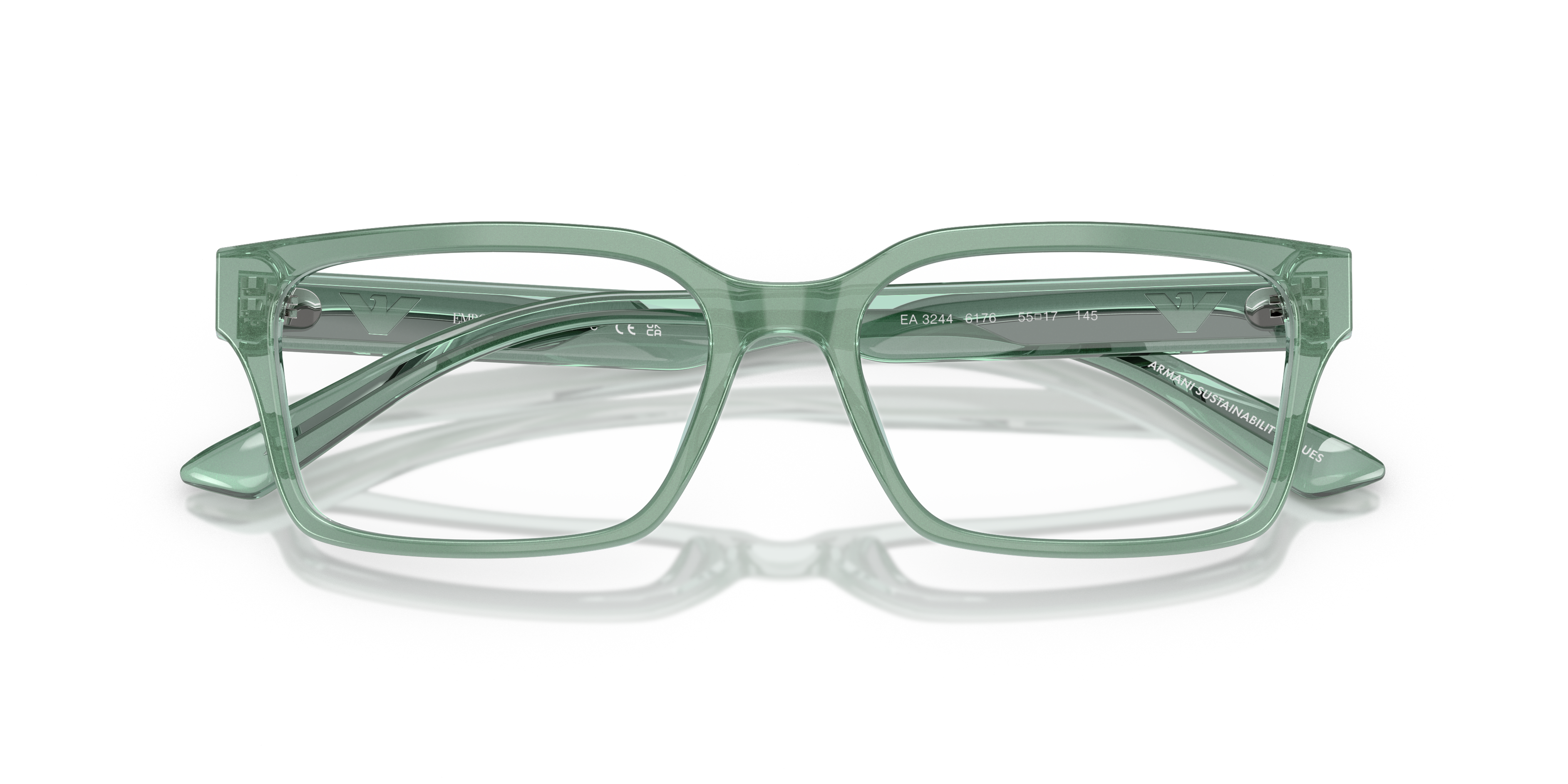 Emporio Armani EA3244 6176