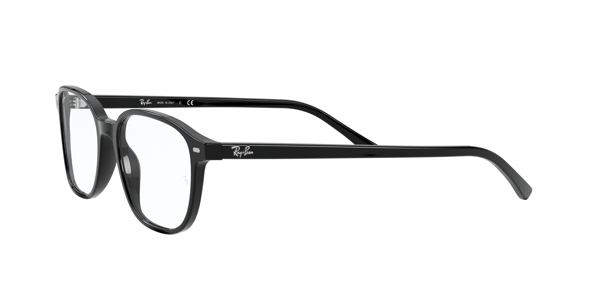 Ray-Ban RX5393 LEONARD 2000
