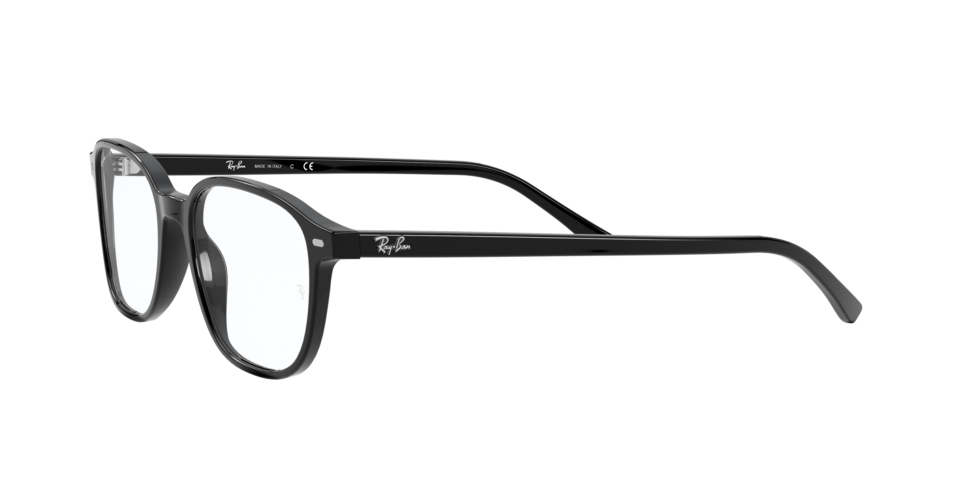 Ray-Ban RX5393 LEONARD 2000