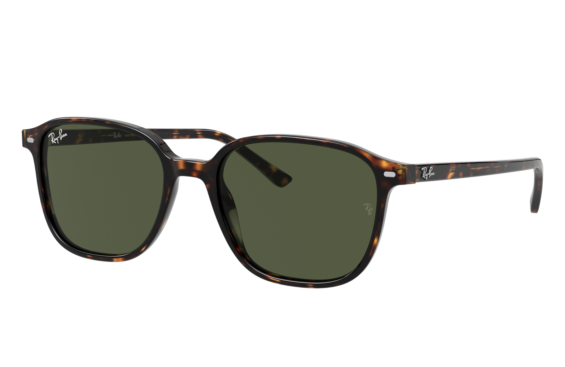 Ray-Ban RB2193 LEONARD 902/31