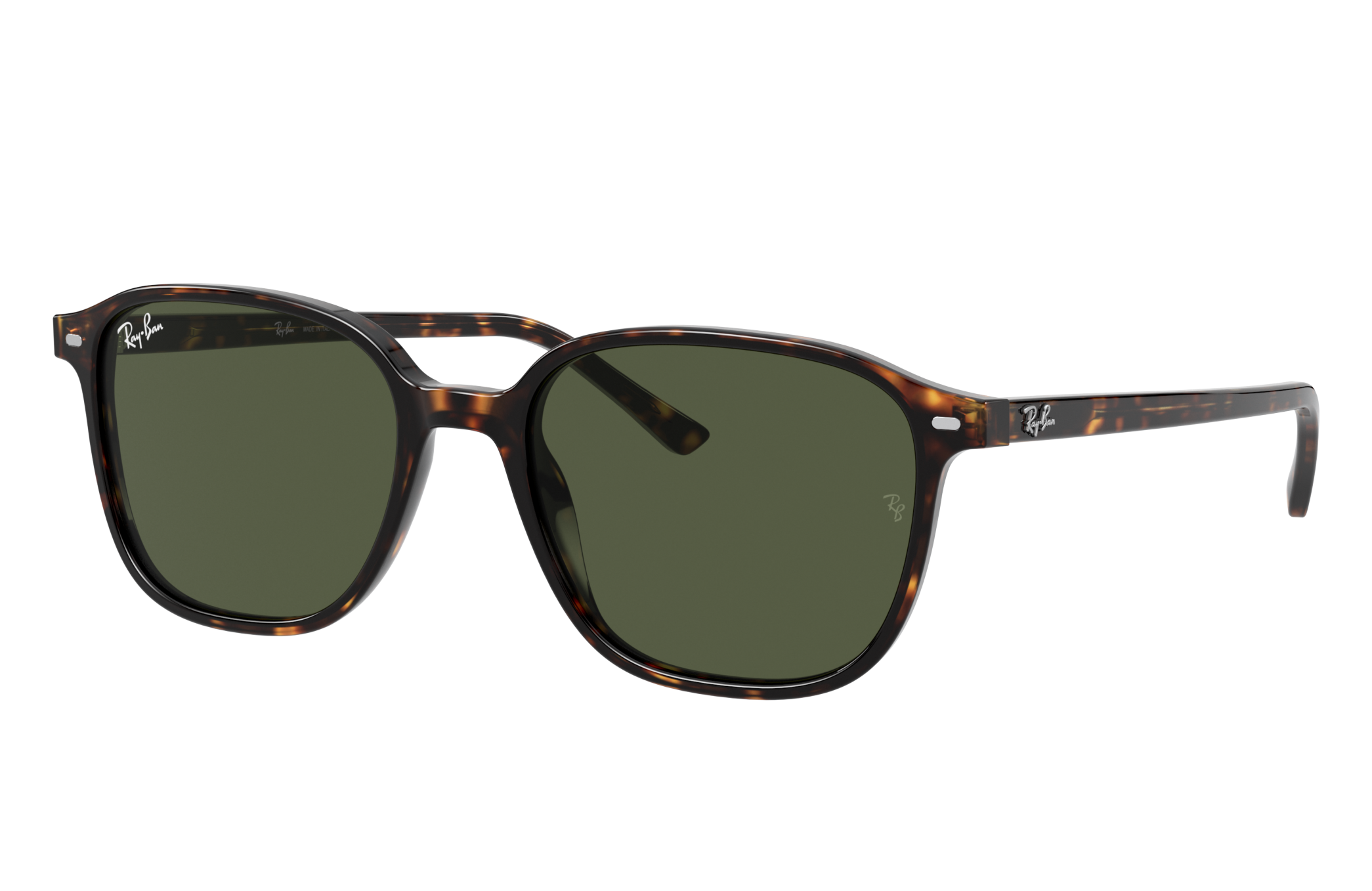Ray-Ban RB2193 LEONARD 902/31