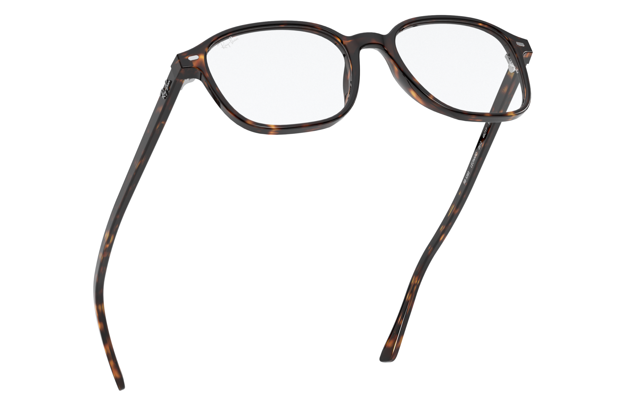 Ray-Ban RX5393 LEONARD 2012
