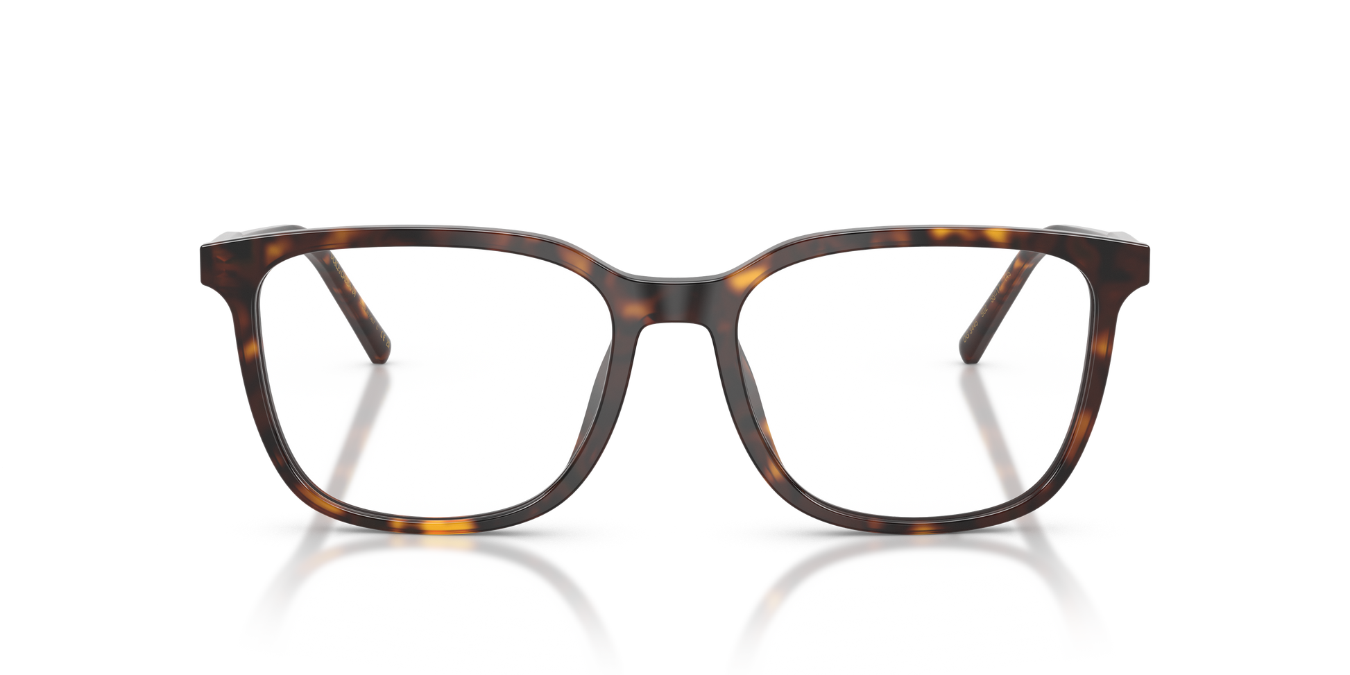 Dolce & Gabbana DG3445 502