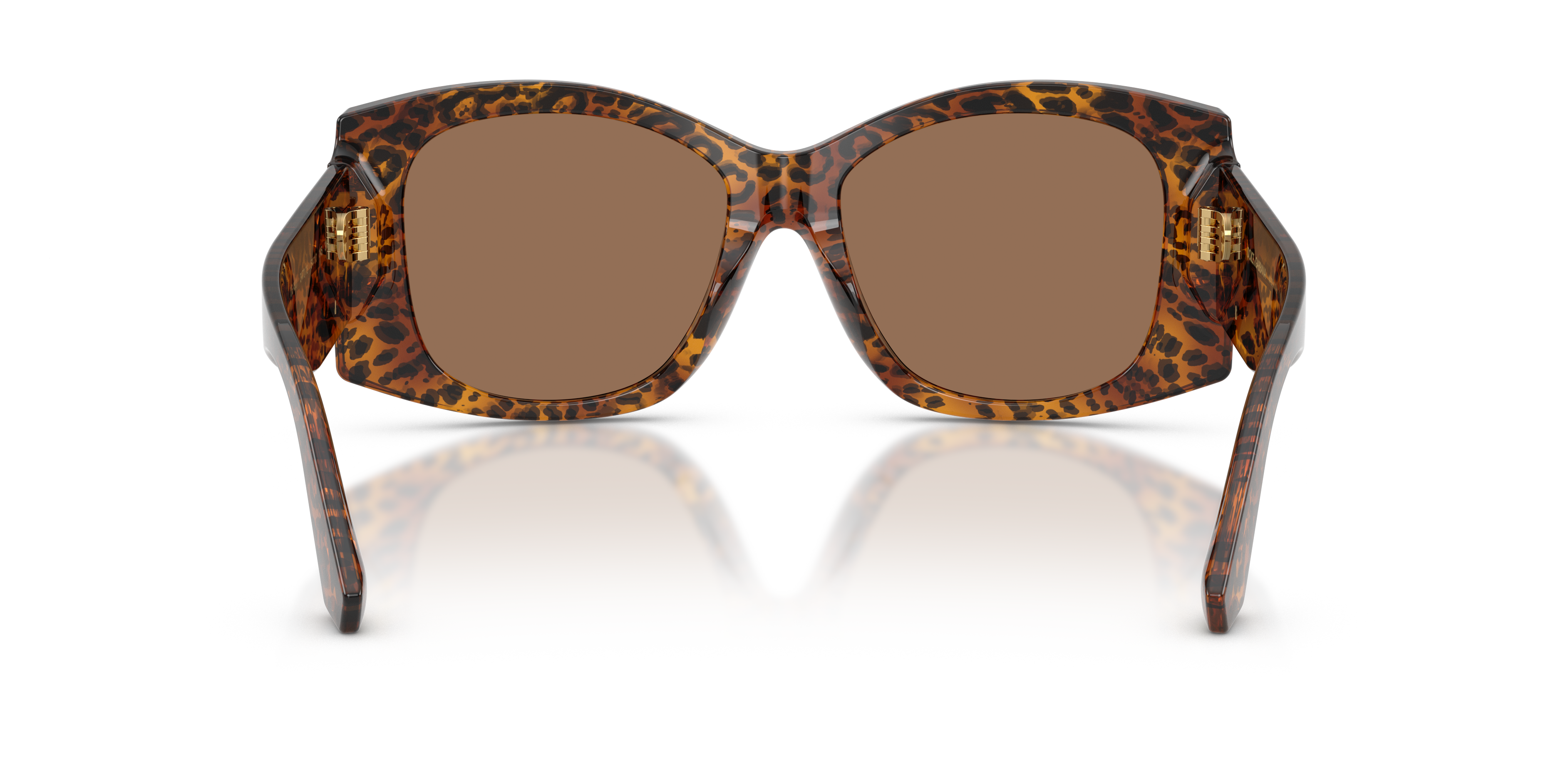 Dolce & Gabbana DG4501 347073