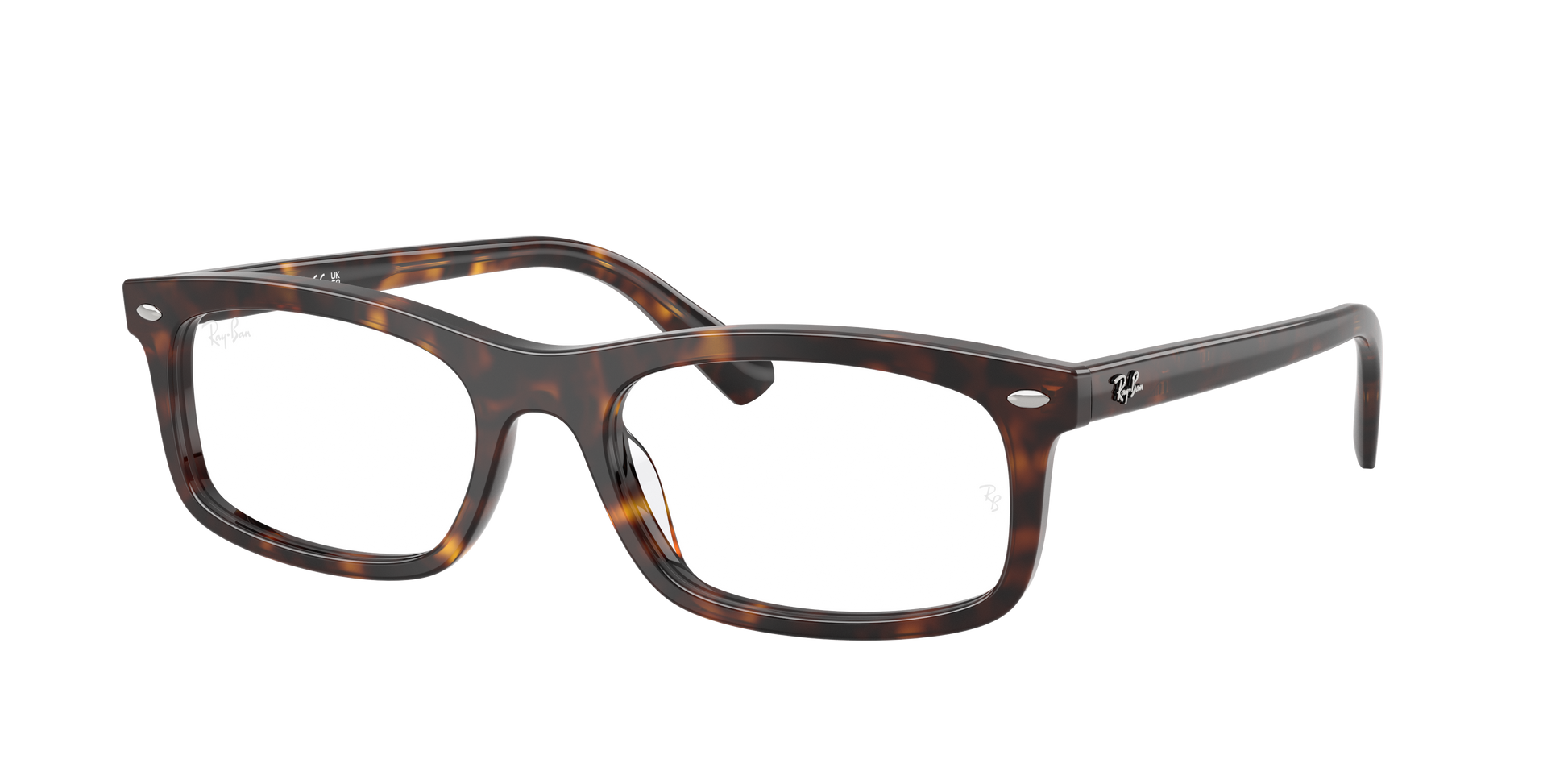 Ray-Ban RX5450 2012