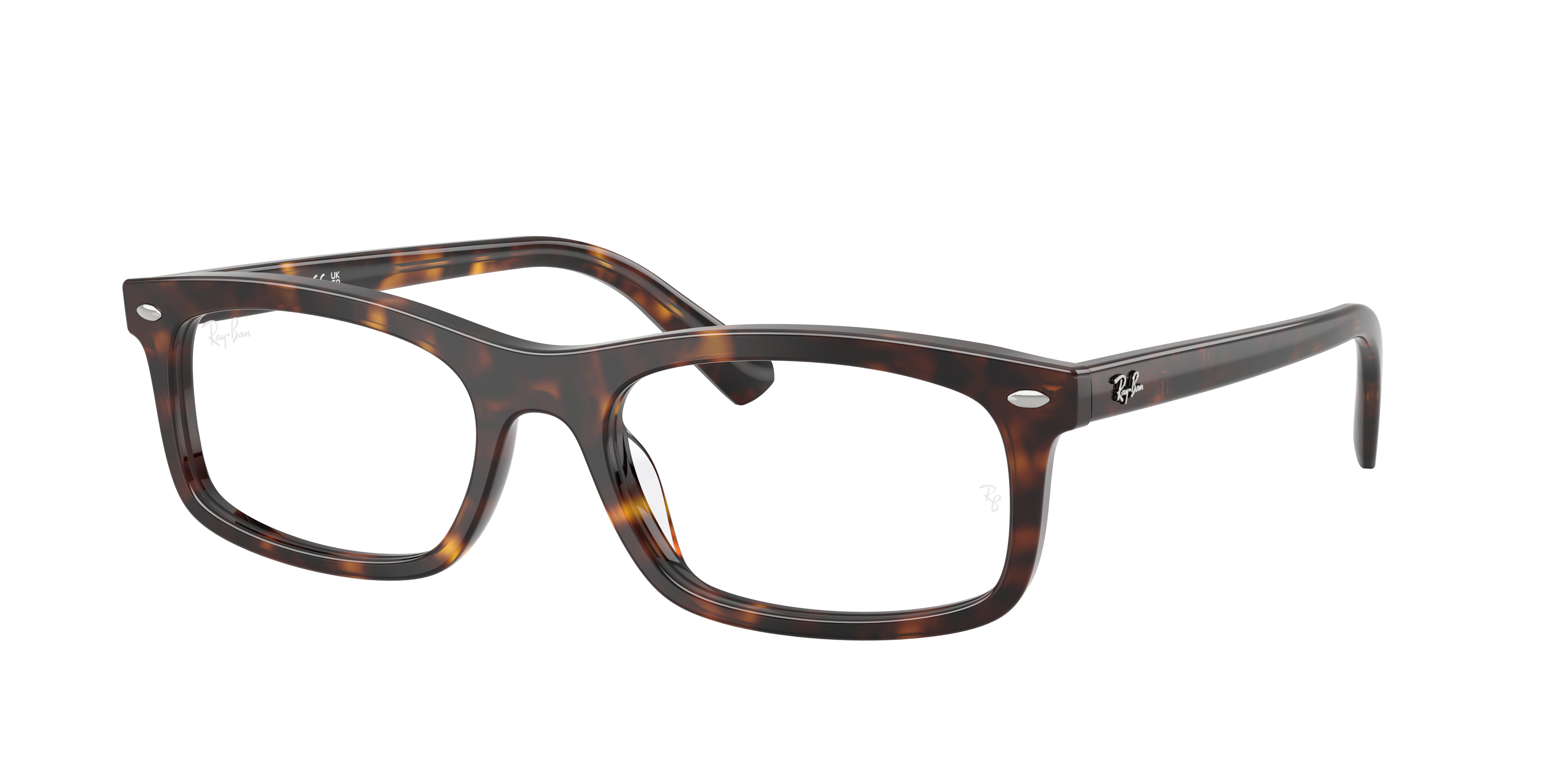 Ray-Ban RX5450 2012