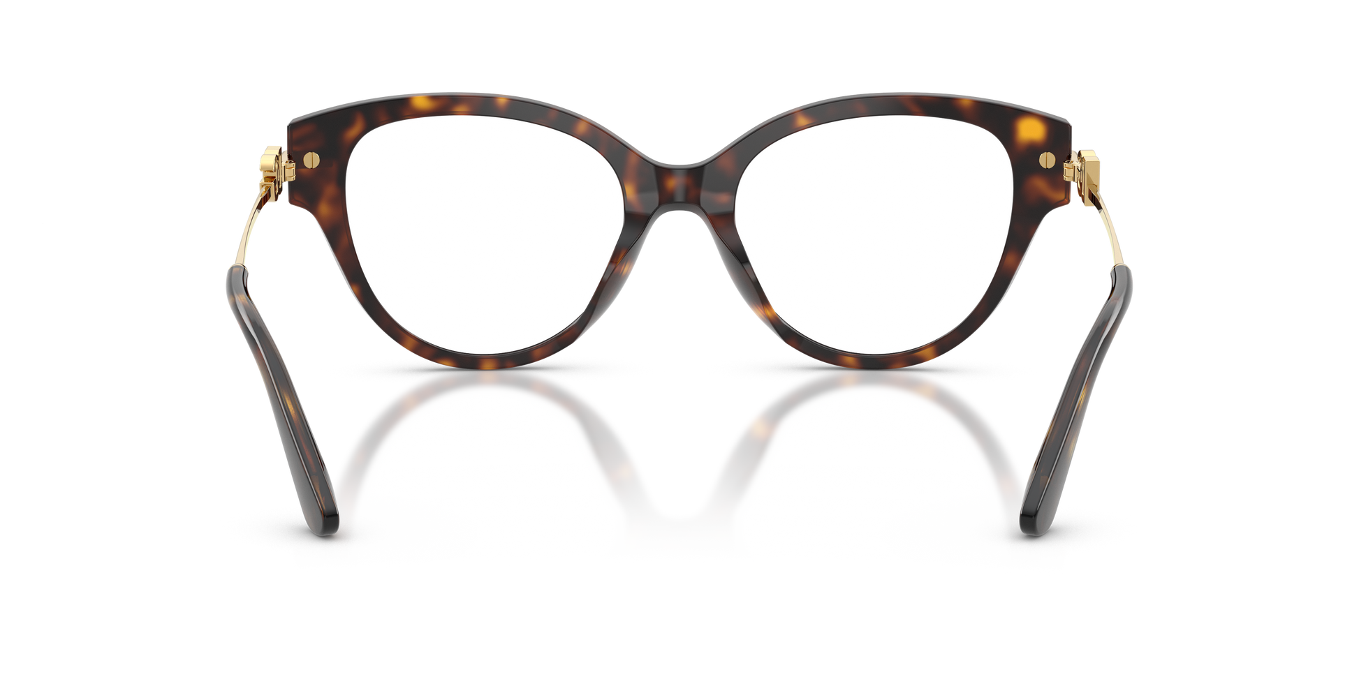 Dolce & Gabbana DG3438 502