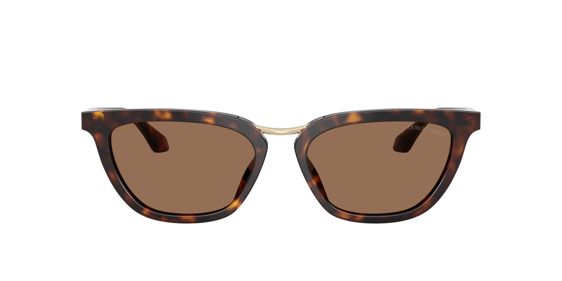 Giorgio Armani AR8253U 612473