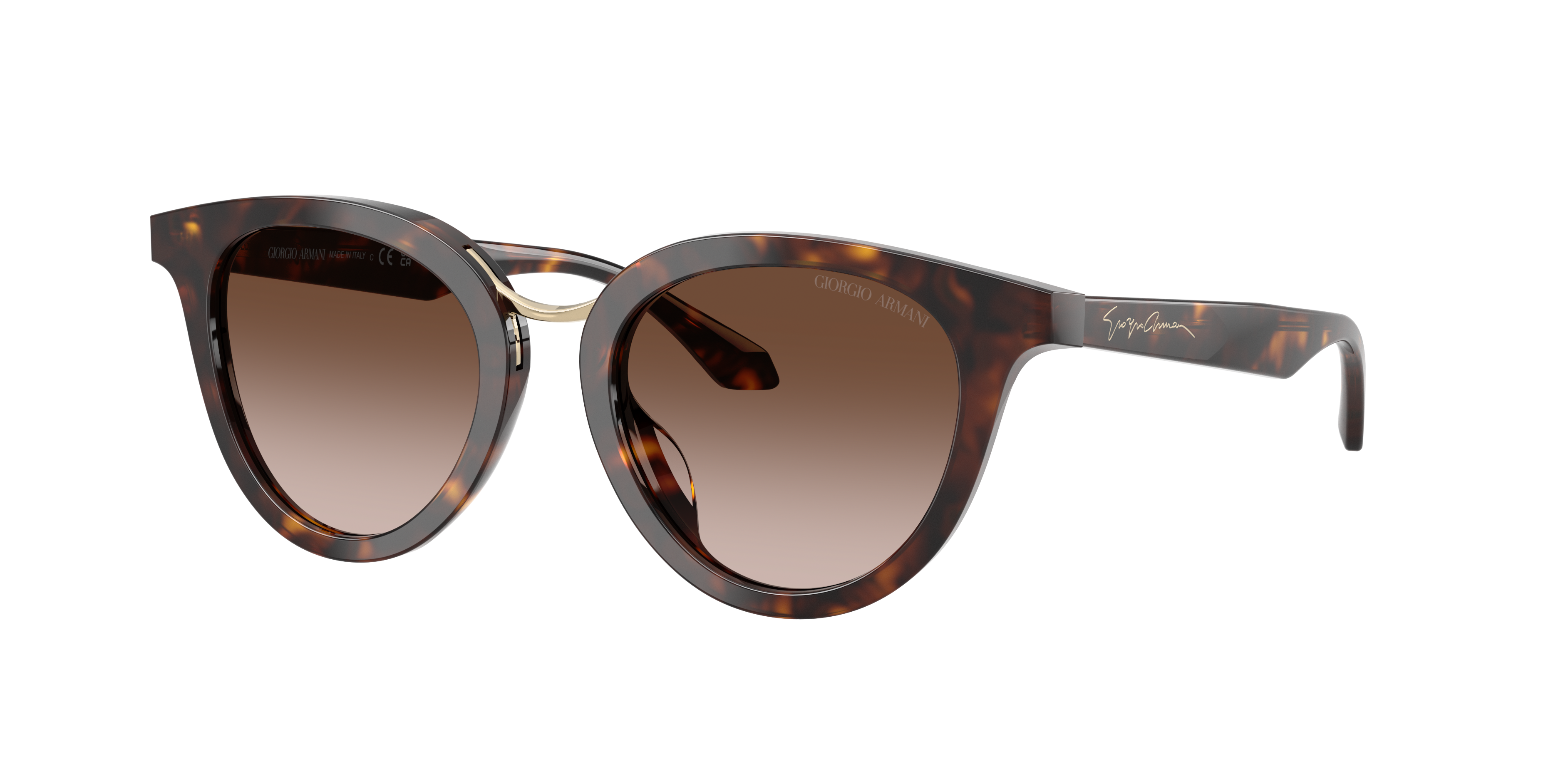 Giorgio Armani AR8252U 612413