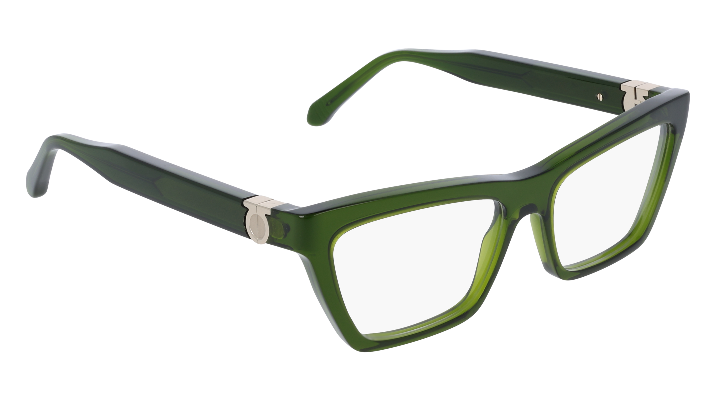 Ferragamo SF3021 317