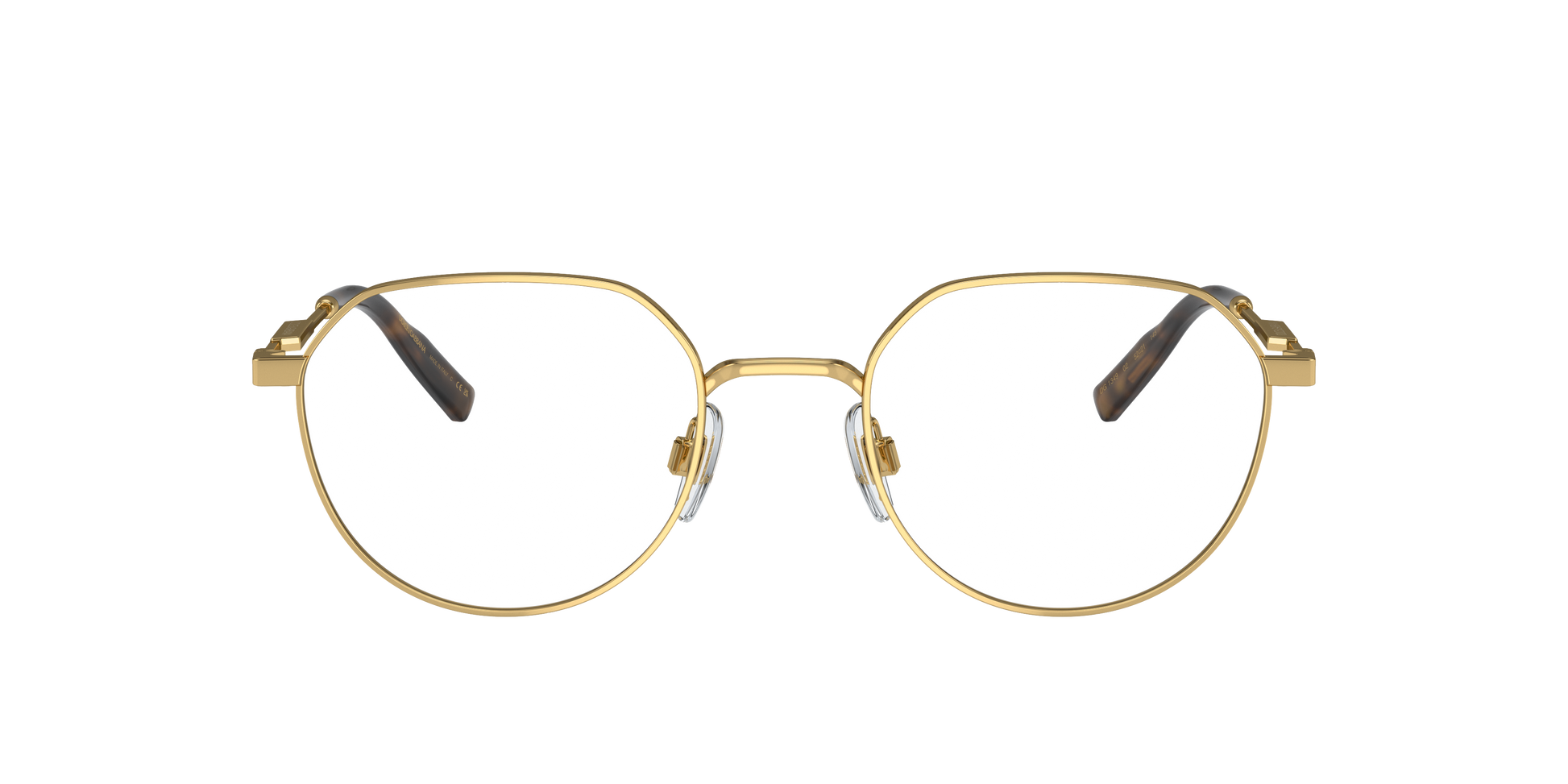Dolce & Gabbana DG1349 02