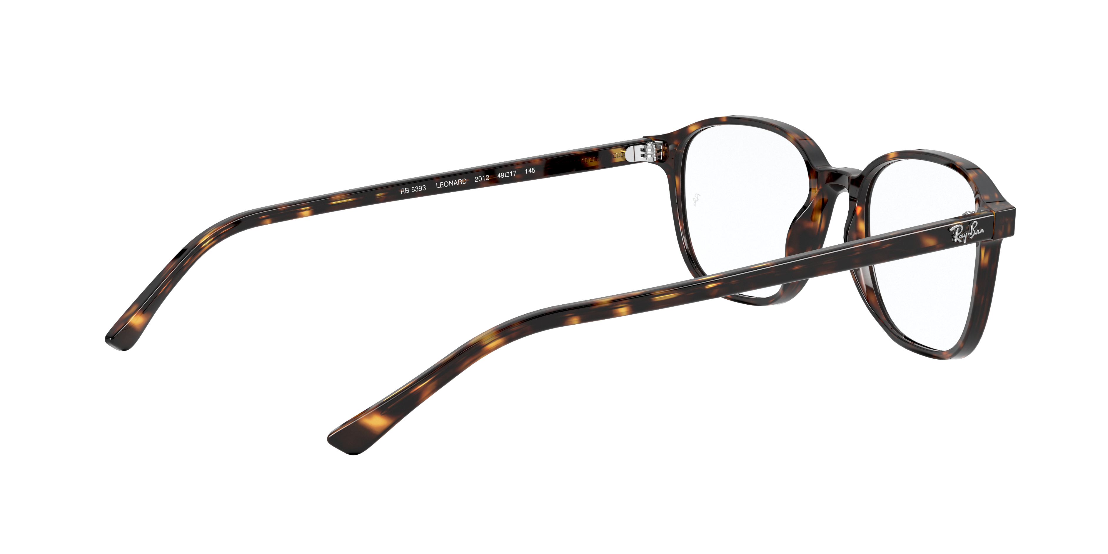 Ray-Ban RX5393 LEONARD 2012
