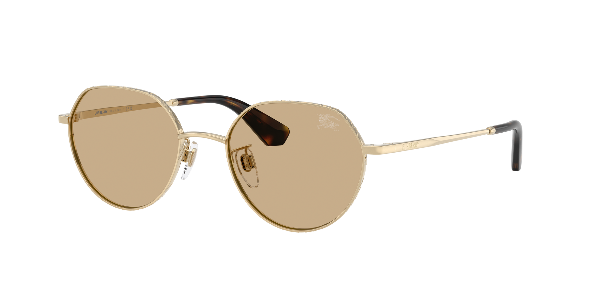 Burberry BE3173D 110973