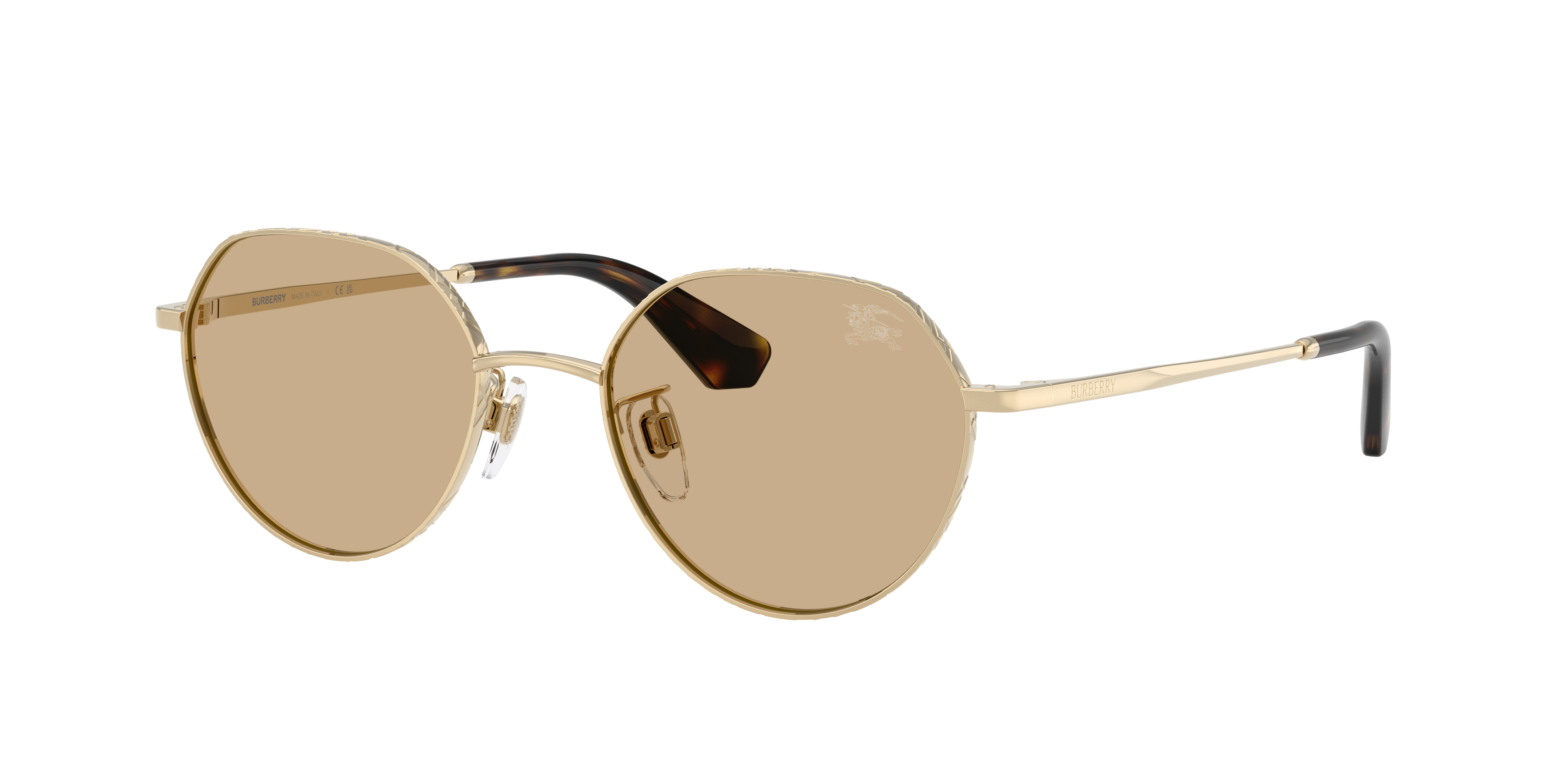 Burberry BE3173D 110973