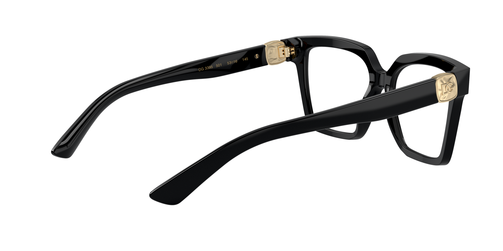 Dolce & Gabbana DG3395 501