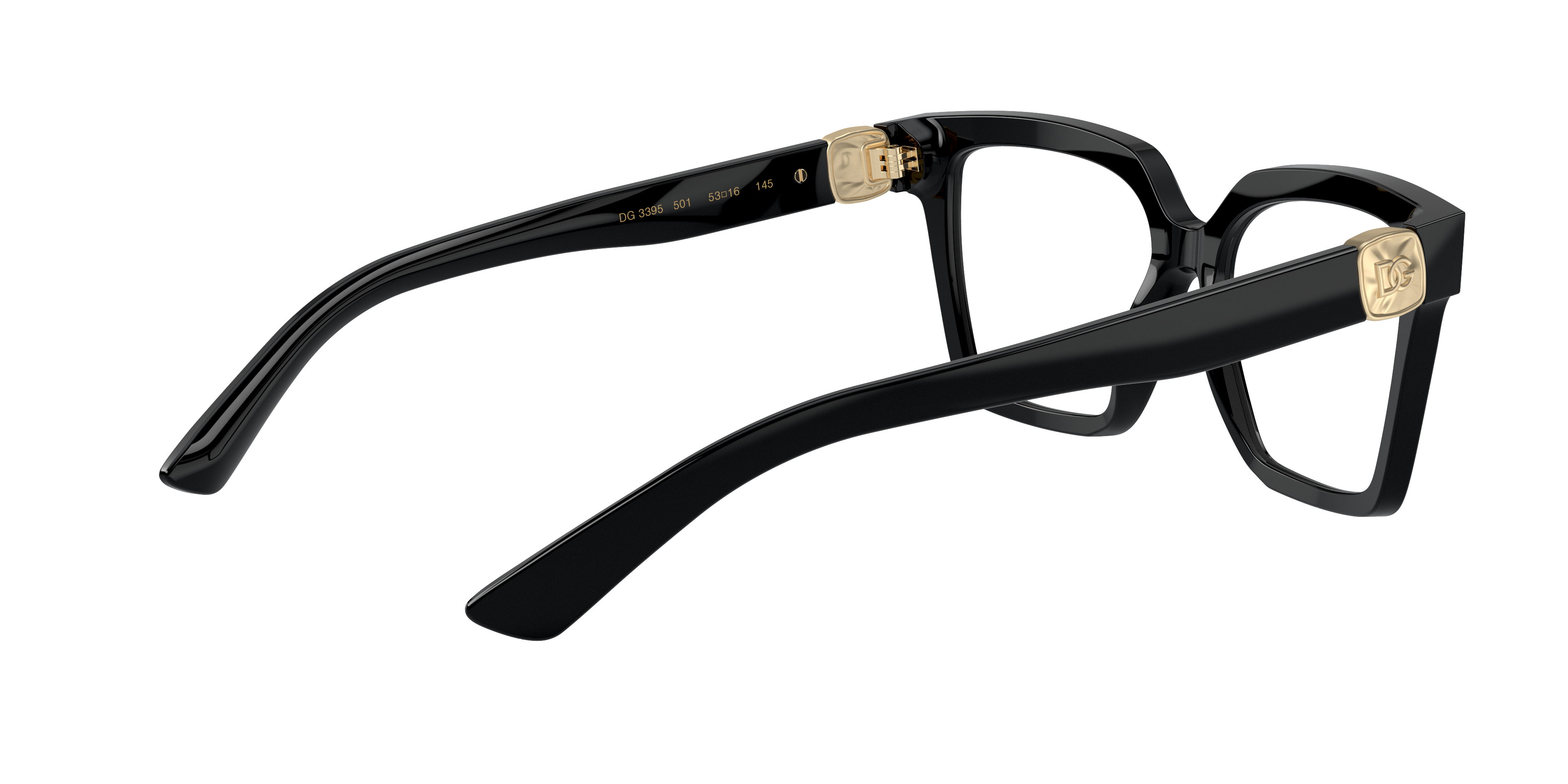 Dolce & Gabbana DG3395 501