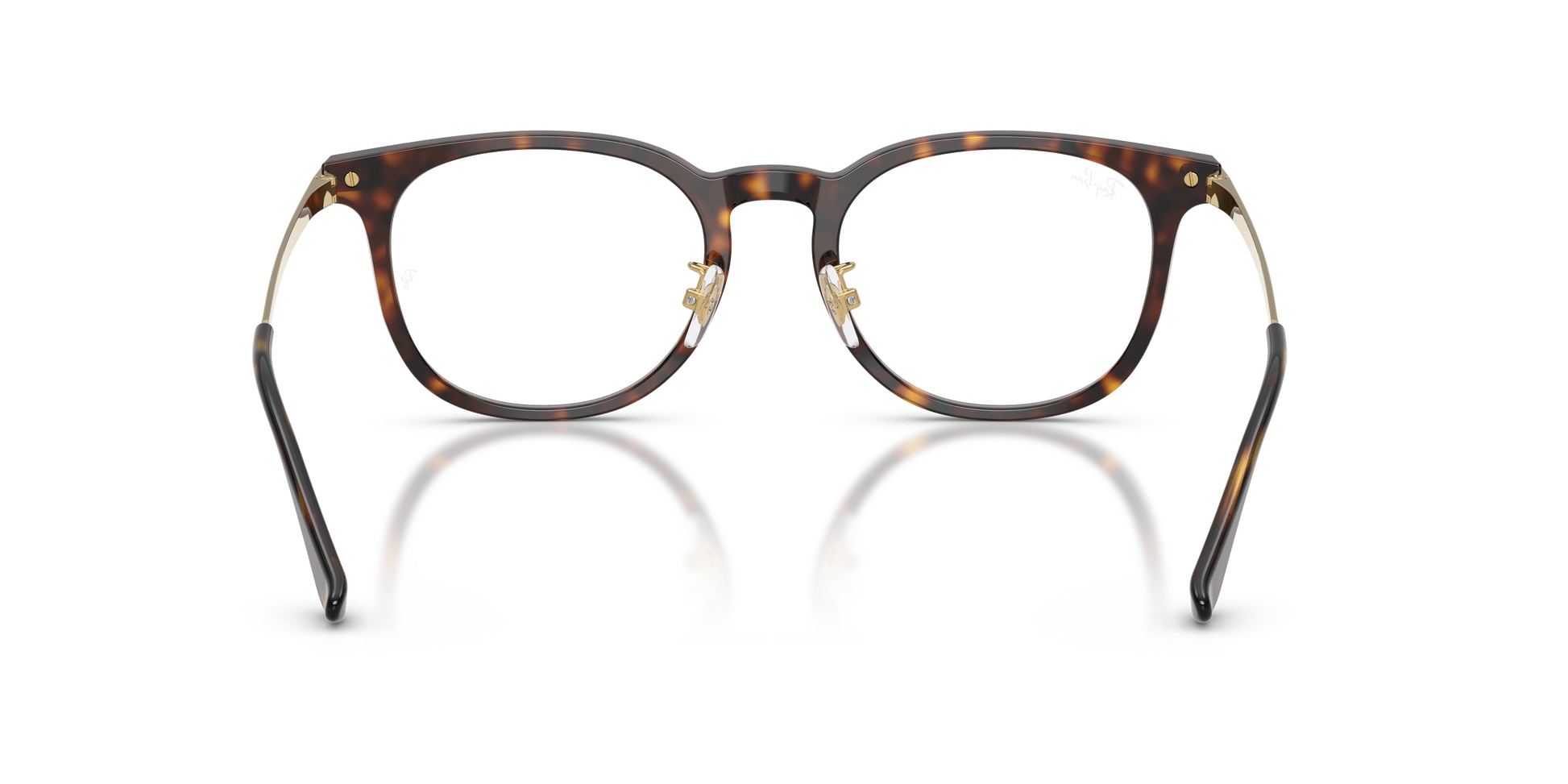 Ray-Ban RX5453D 2012