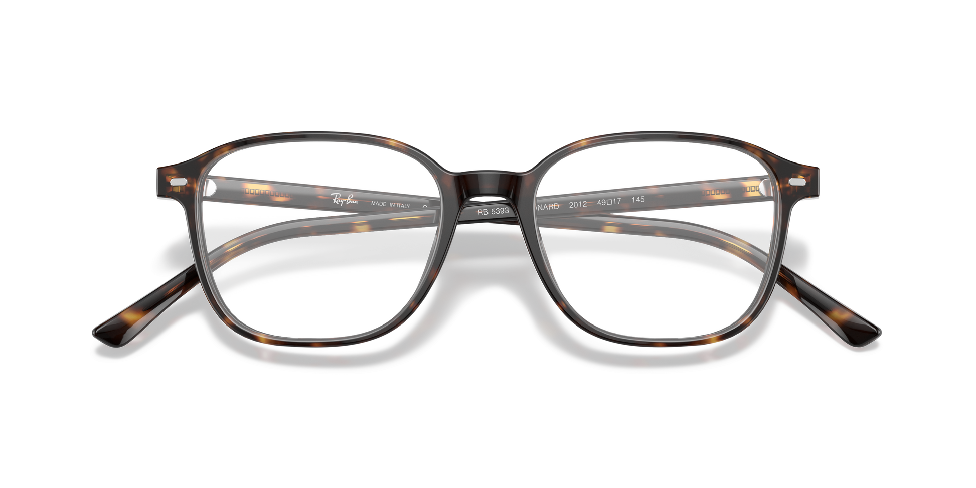 Ray-Ban RX5393 LEONARD 2012