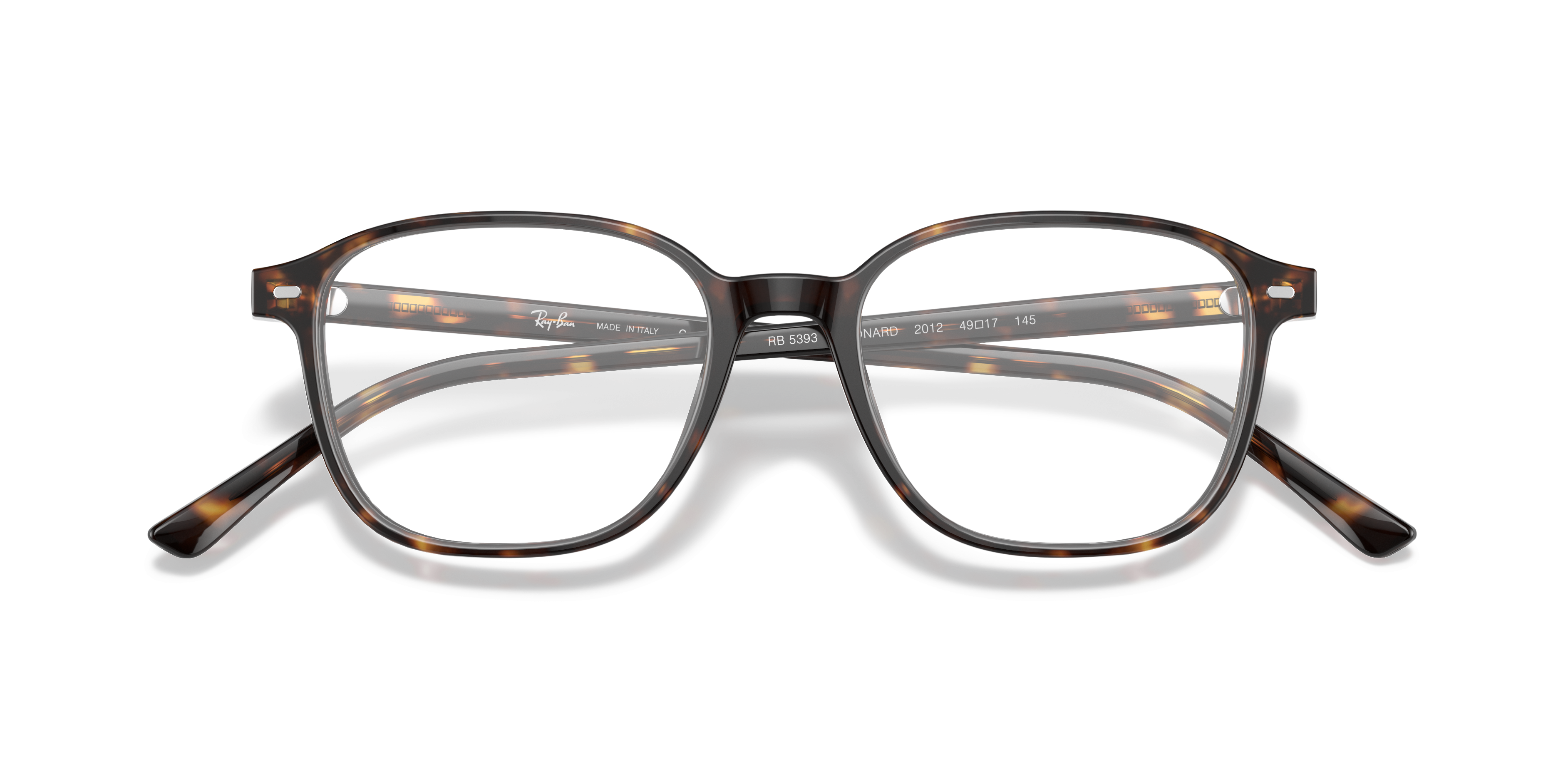 Ray-Ban RX5393 LEONARD 2012