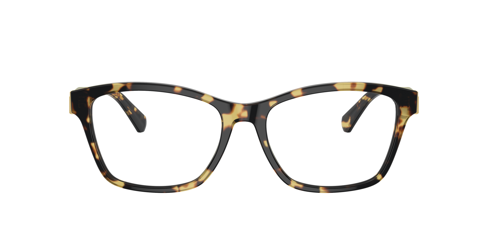 Ralph Lauren RL6243 5004