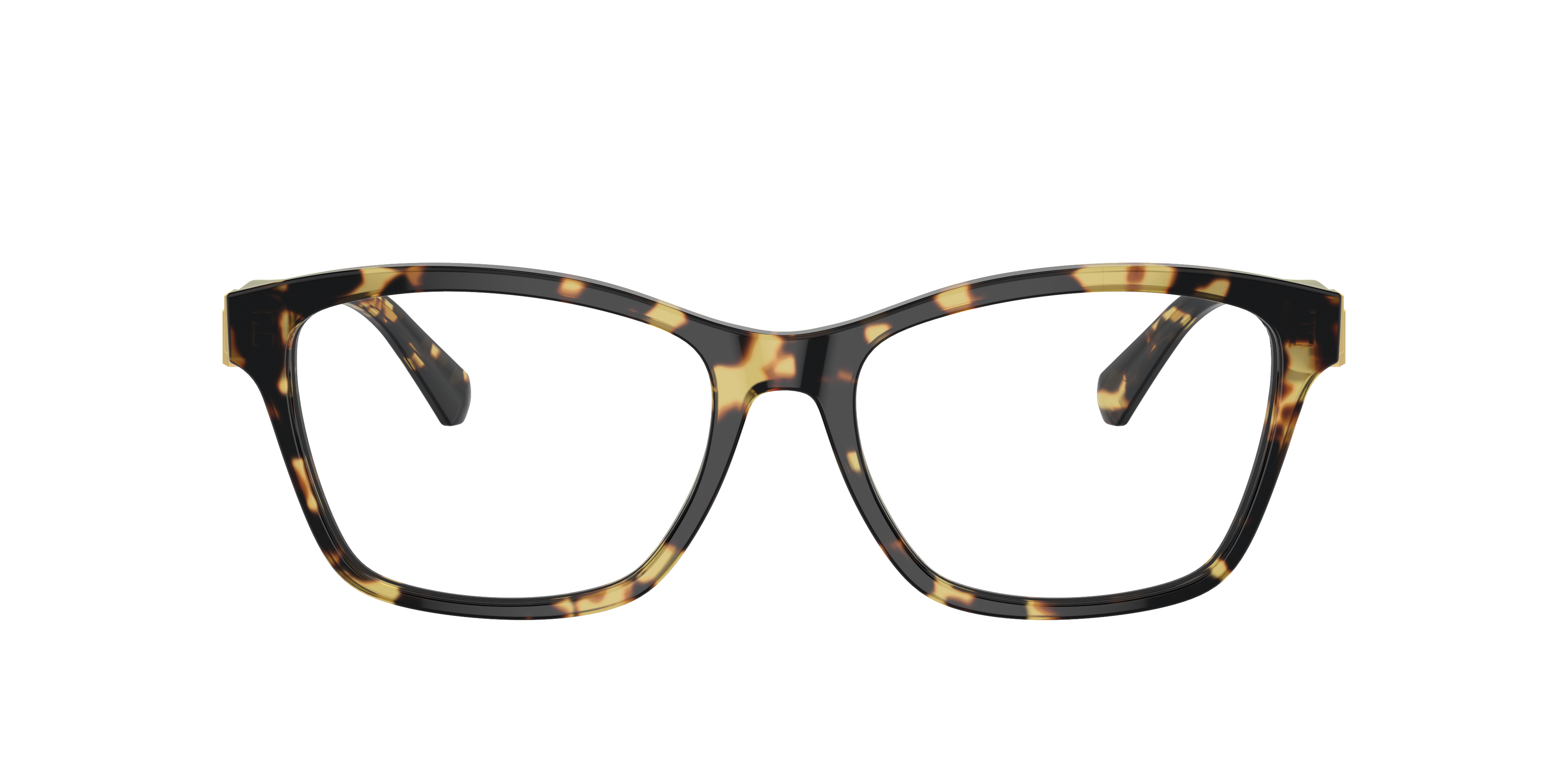 Ralph Lauren RL6243 5004