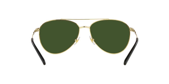 Arnette Sidecar Sunglasses AN3085 739/71