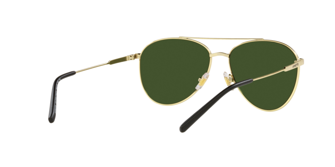 Arnette Sidecar Sunglasses AN3085 739/71