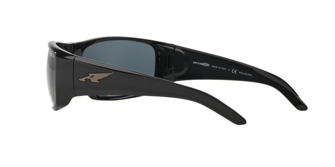 Arnette La Pistola Sunglasses AN4179 41/81