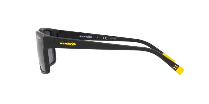 Arnette Dashanzi Sunglasses AN4254 01/81