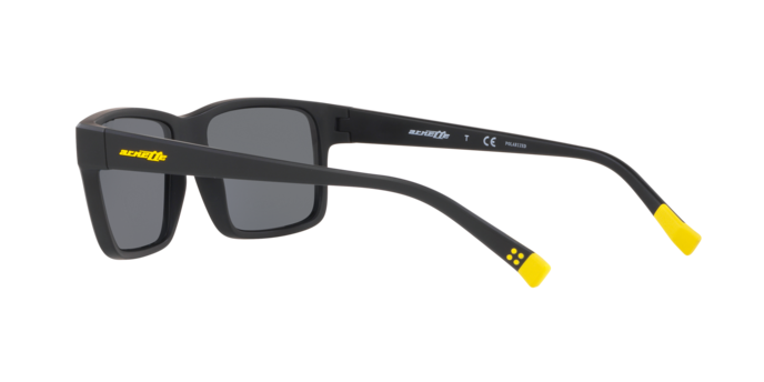 Arnette Dashanzi Sunglasses AN4254 01/81