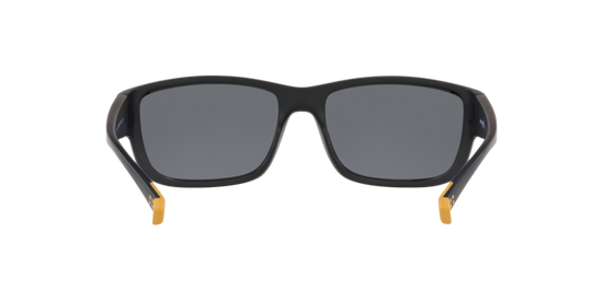 Arnette Bushwick Sunglasses AN4256 01/81