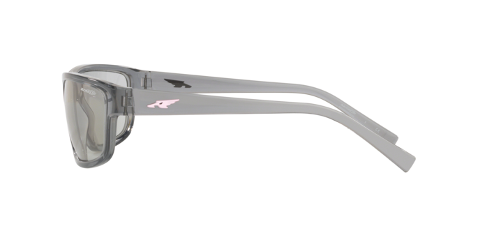 Arnette Borrow Sunglasses AN4259 263187