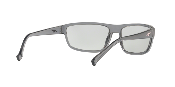 Arnette Borrow Sunglasses AN4259 263187