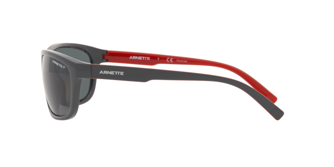 Arnette El Carmen Sunglasses AN4263 275381