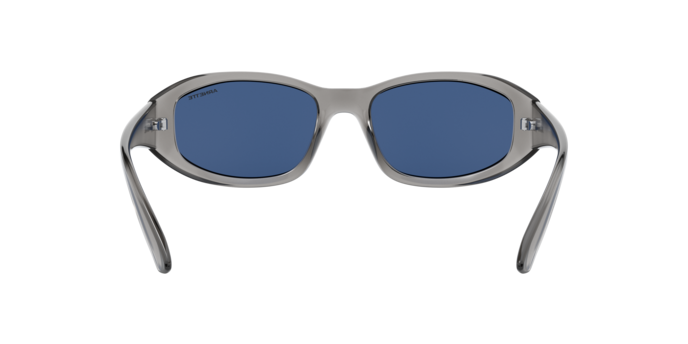 Arnette Lizard Sunglasses AN4266 259080