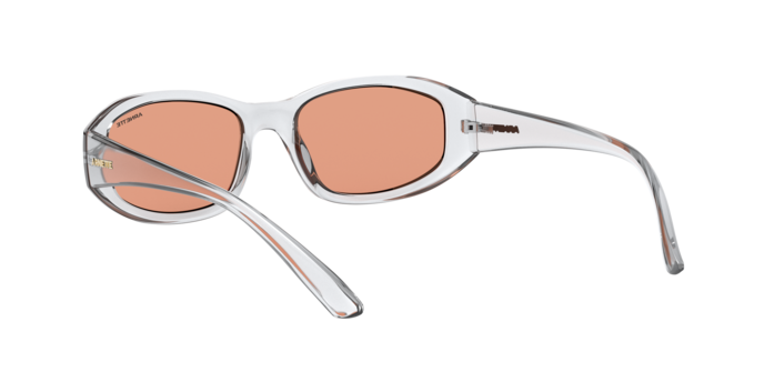 Arnette Lizard Sunglasses AN4266 2634C6