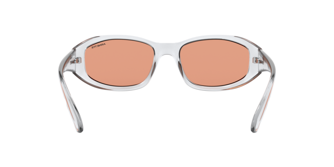 Arnette Lizard Sunglasses AN4266 2634C6