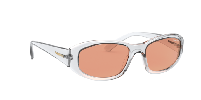 Arnette Lizard Sunglasses AN4266 2634C6