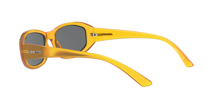 Arnette Lizard Sunglasses AN4266 265587