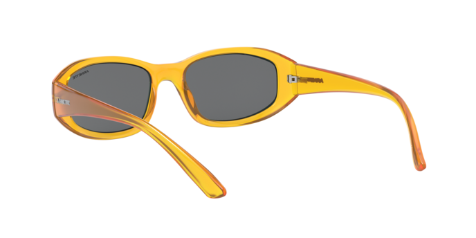Arnette Lizard Sunglasses AN4266 265587