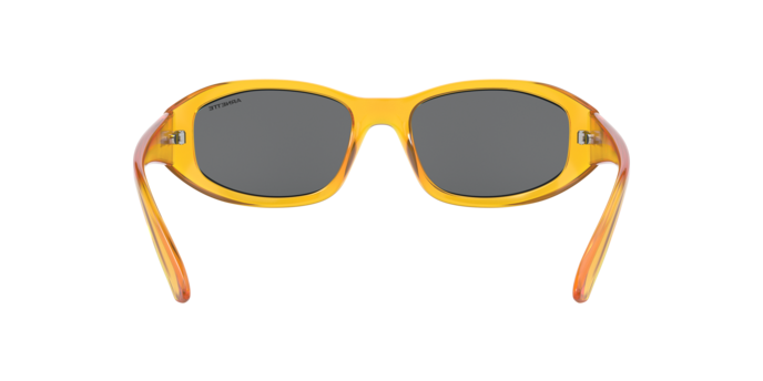 Arnette Lizard Sunglasses AN4266 265587